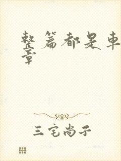 整篇都是车的文章