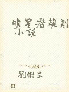 明星潜规则之皇 小说