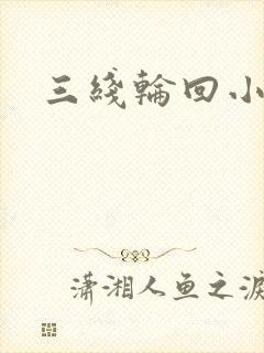 三线轮回小说