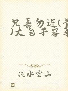 兄长勿近(骨科)大包子容华