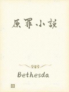 原罪小说