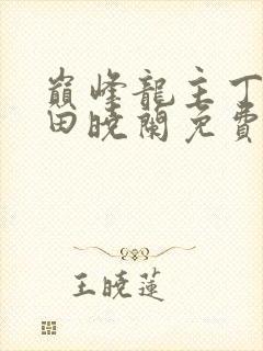 巅峰龙主丁长顺田晓兰免费阅读