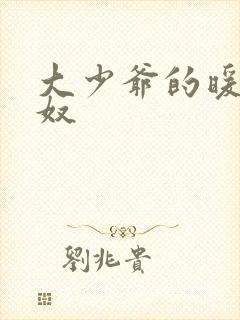 大少爷的暖床小奴