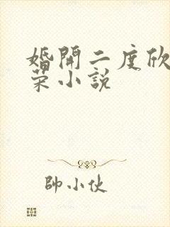 婚开二度欣欣向荣小说