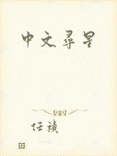 中文寻星