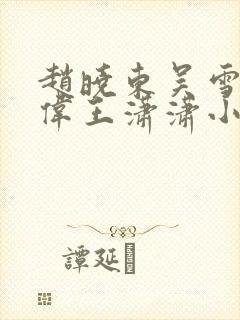 赵晓东吴雪晴郑伟王潇潇小说名字