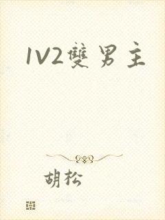 1V2双男主