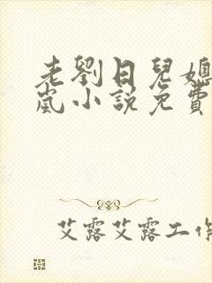 老刘日儿媳妇张岚小说免费阅读