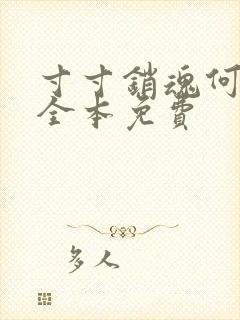 寸寸销魂何生祥全本免费