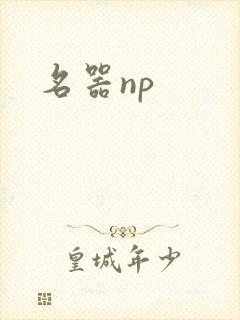 名器np