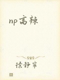 np高辣