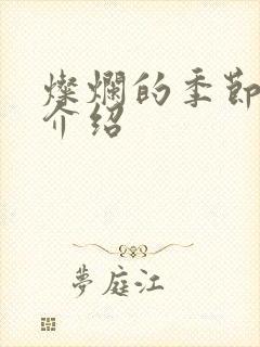 灿烂的季节剧情介绍