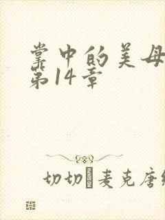 掌中的美母版主第14章