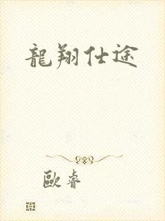 龙翔仕途