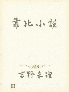 靠比小说