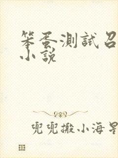 笨蛋测试召唤兽小说