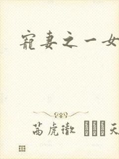 宠妻之一女二夫