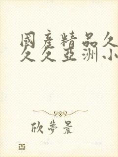 国产精品久久久久久亚洲小说