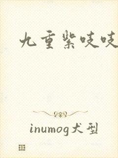 九重紫吱吱小说