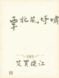 西北风呼啸的中午