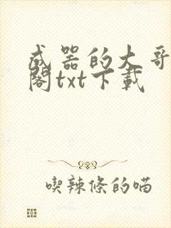 成器的大哥笔趣阁txt下载