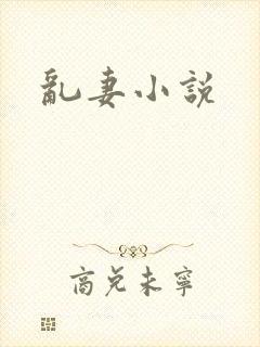 乱妻小说