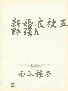 新婚夜被五个伴郎强h封面