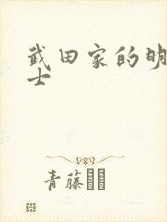 武田家的明国武士