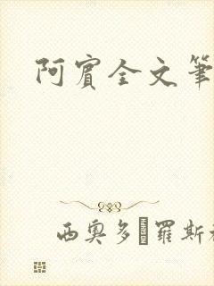阿宾全文笔趣阁
