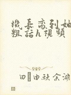 机长脔到她哭h粗话h视频