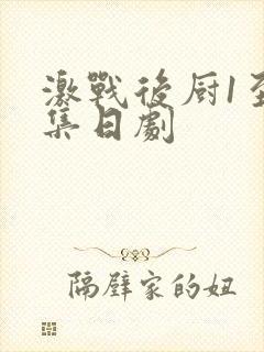 激战后厨1至5集日剧