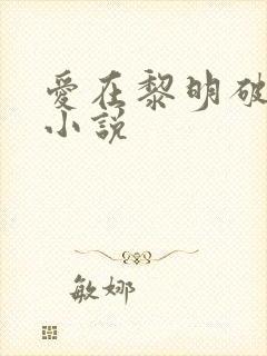 爱在黎明破晓前小说