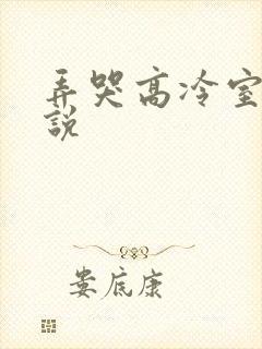 弄哭高冷室友小说
