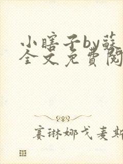 小瞎子by苏软全文免费阅读