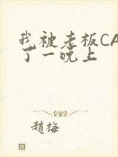 我被老板CAO了一晚上