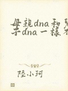 母亲dna和儿子dna一样不