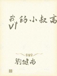 我的小叔高H1V1