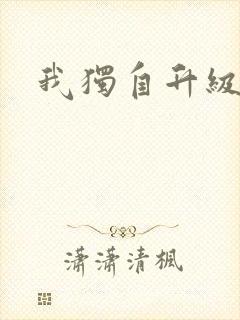 我独自升级小说