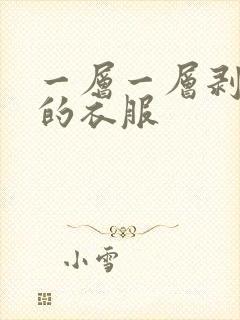 一层一层剥开我的衣服