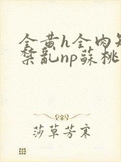 全黄h全肉短篇禁乱np苏桃