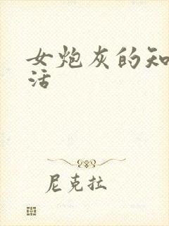 女炮灰的知青生活