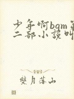 少年啊bgm第二部小说叫什么