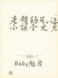 老赵的风流人生小说全文免费阅读