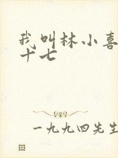 我叫林小喜今年十七