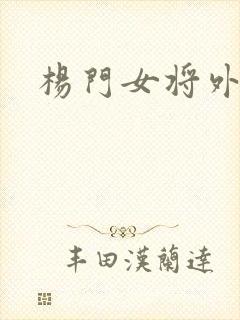 杨门女将外传
