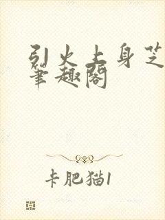 引火上身芝麻糖笔趣阁