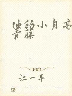 他的小月亮by青藤