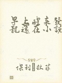 早上醒来发现巨龙还在小说