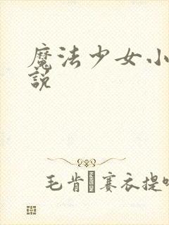 魔法少女小圆小说