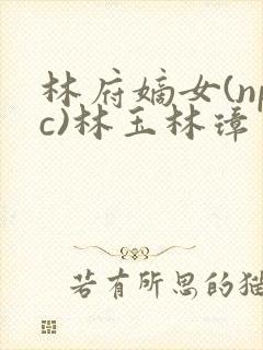 林府嫡女(npc)林玉林璋
